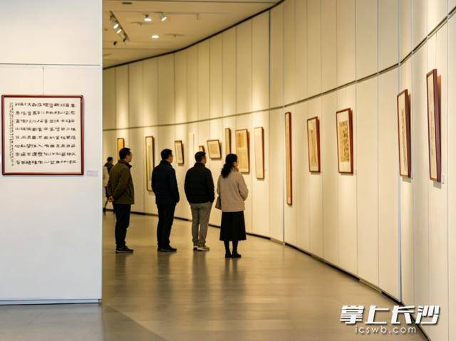 五省區青年書法聯展長沙開幕