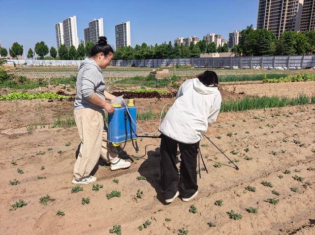 走出課堂、走進社會、親近自然，肖莊小學舉行成長研學活動