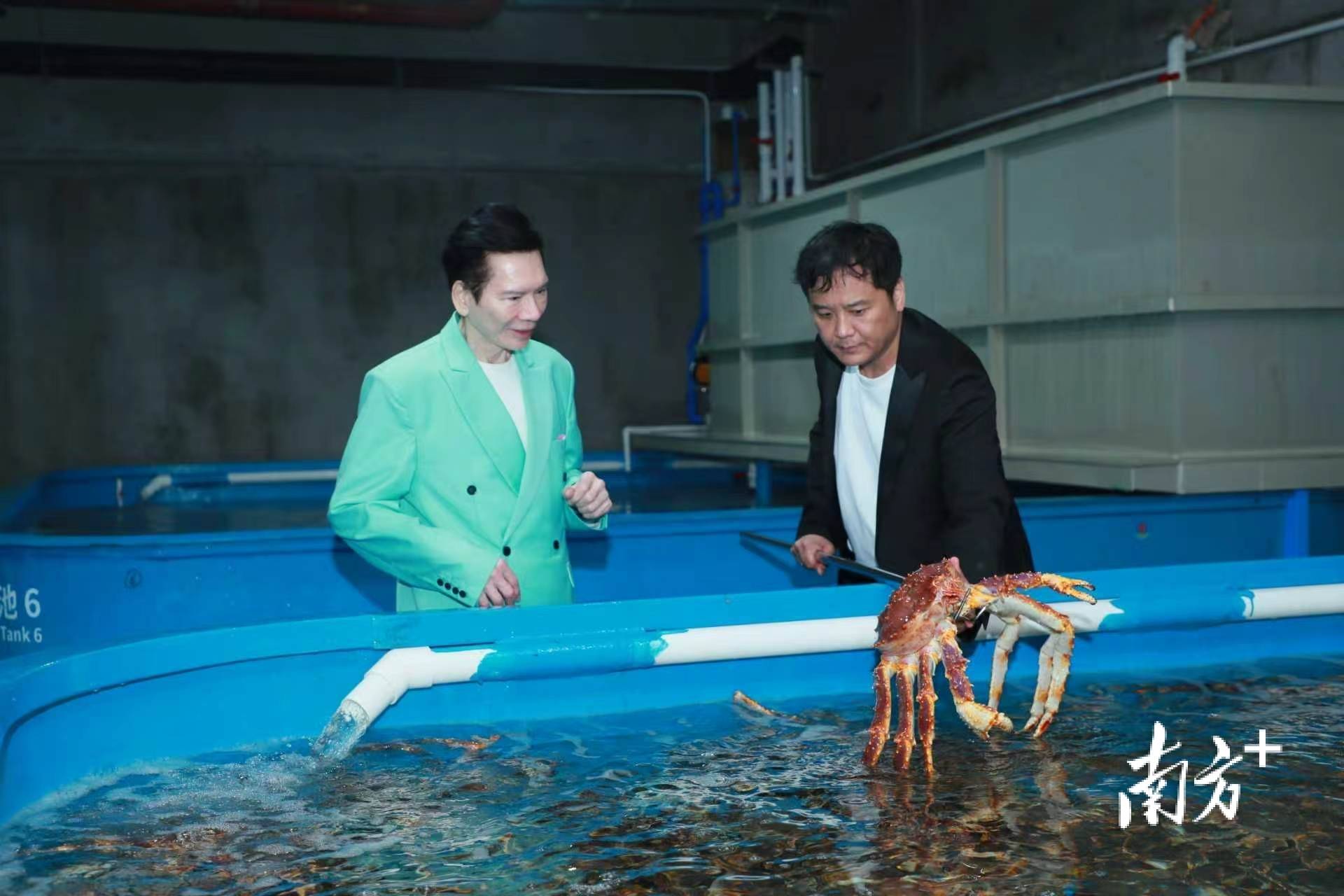 華南首個海捕蟹保稅倉儲專案在黃埔投運