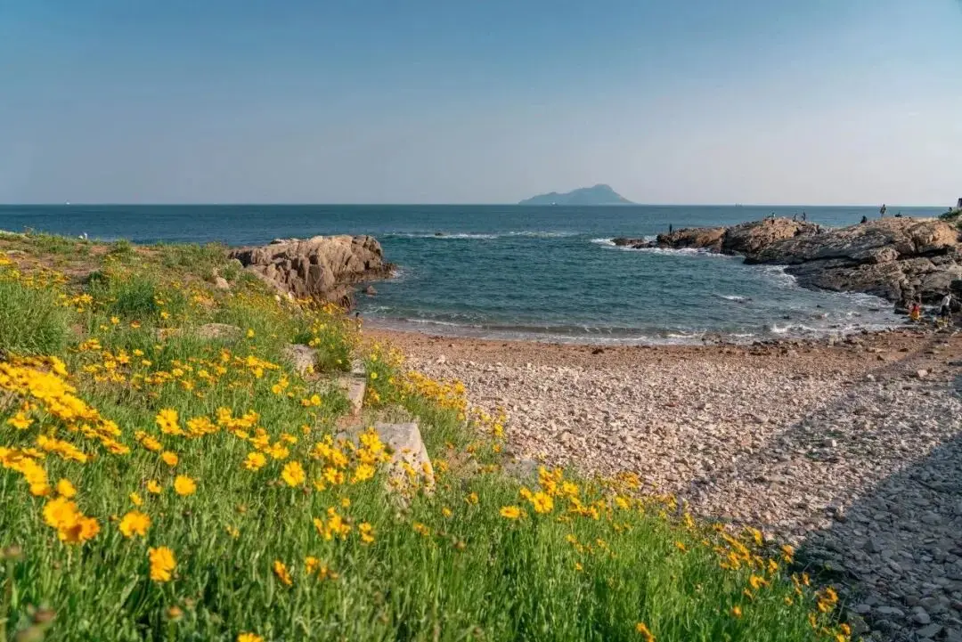 跟著半馬、美食節玩轉西海岸！這四種玩法“夯”爆了！
