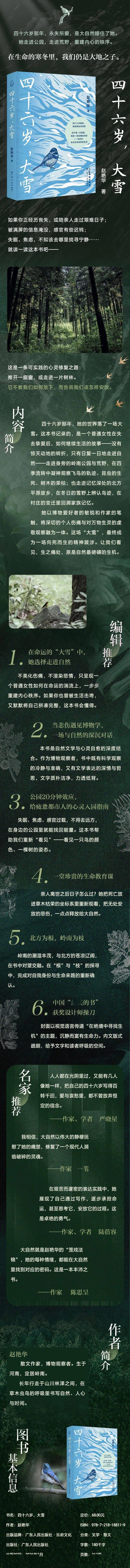一位直麵人生悲痛的中年女性，如何重新出發……