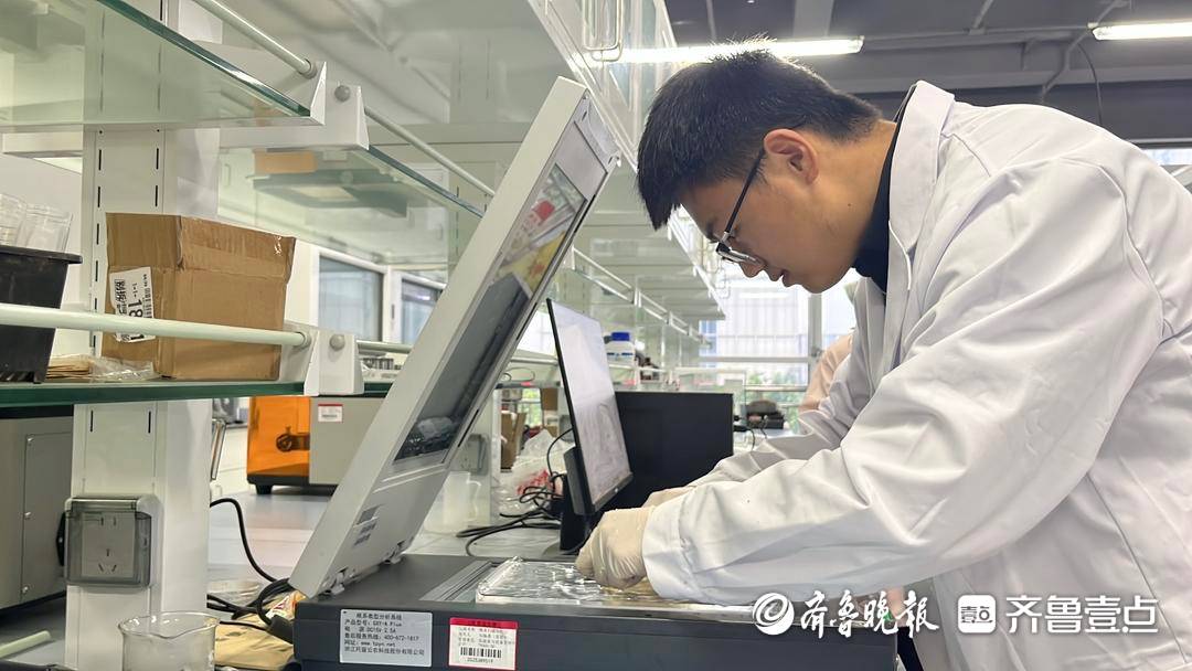 “我們來了，地就不一樣了！”數百位00後研究生“死磕”鹽鹼地