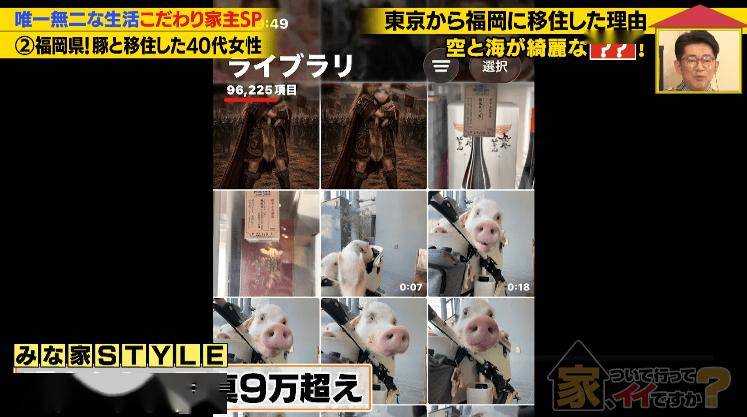 日本40歲女性住豪宅養豬豬，還因豬豬和明星結緣？深感幸福不想結婚，稱“對男人沒興趣”…