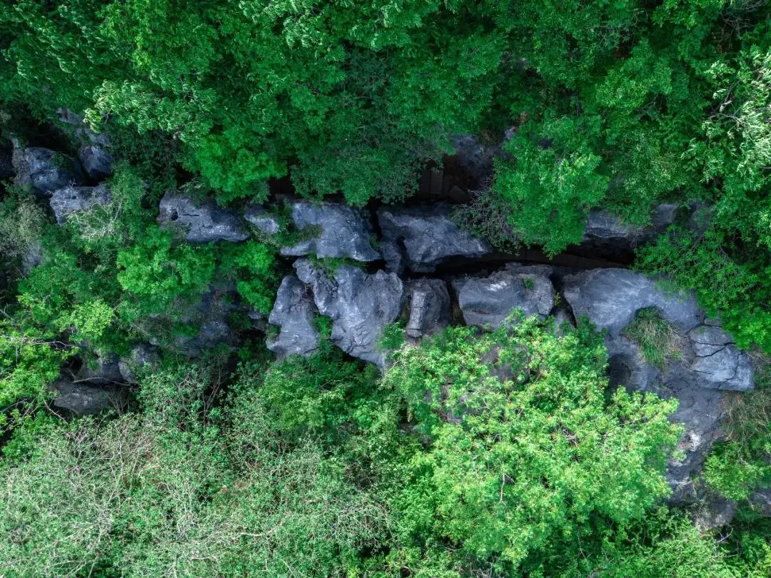 5.4億年的地下雕刻：狼巷迷谷，江淮腹地的喀斯特秘境