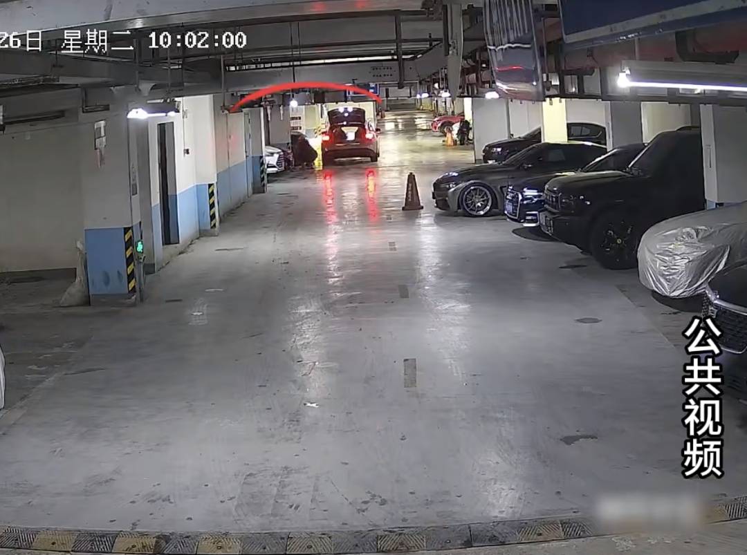 百萬豪車停在地庫，被“螞蟻搬家式”拆光賣了......