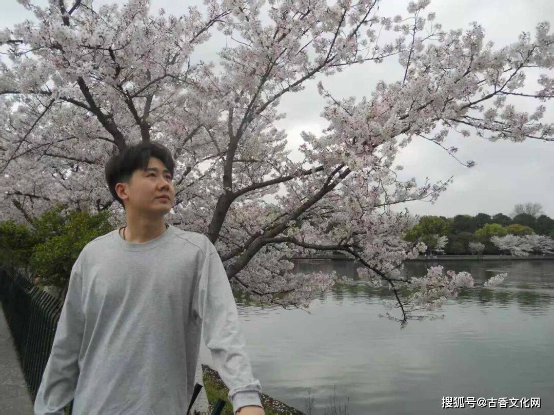 “丙午之夏”——楊碩書法近作選