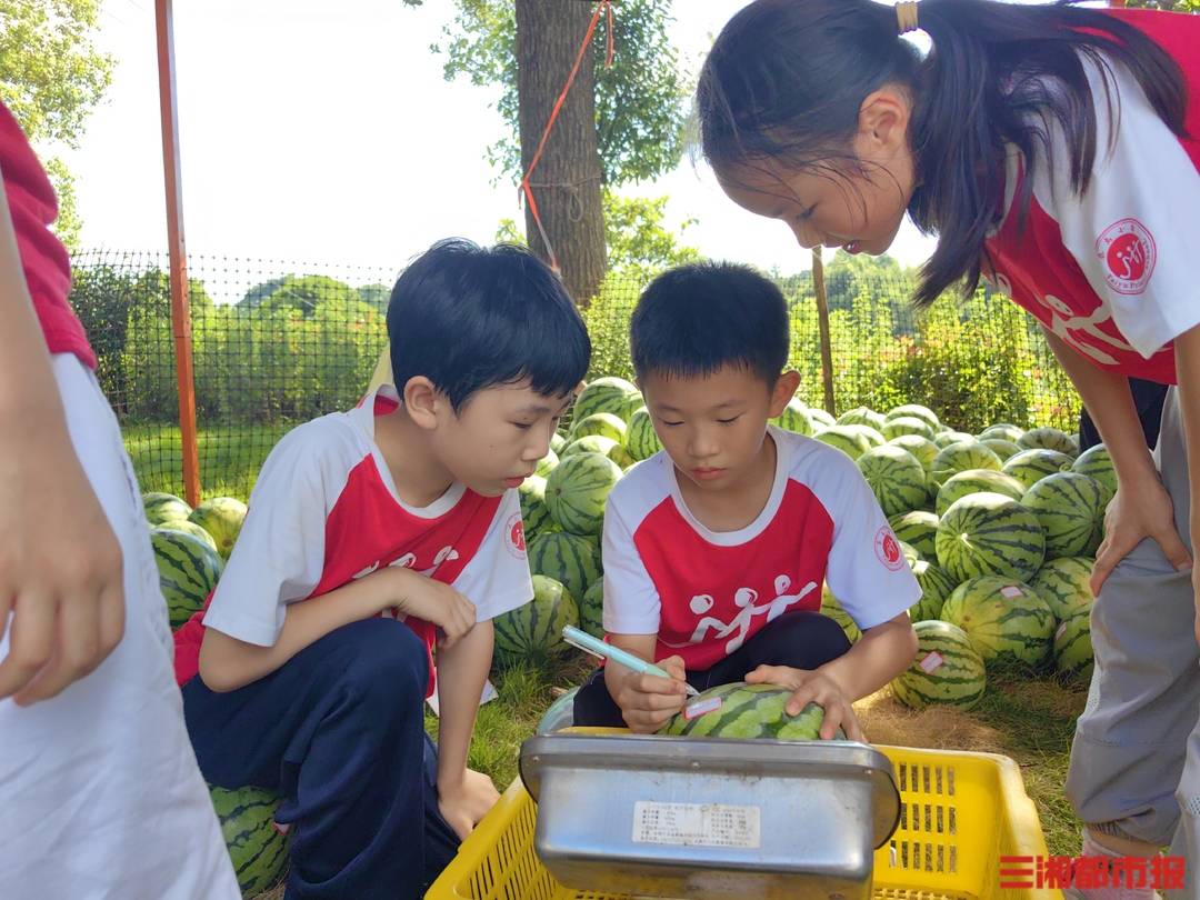下地摘瓜、校門口擺攤！長沙這群小學生用義賣助力腦癱同學康復路丨26℃
